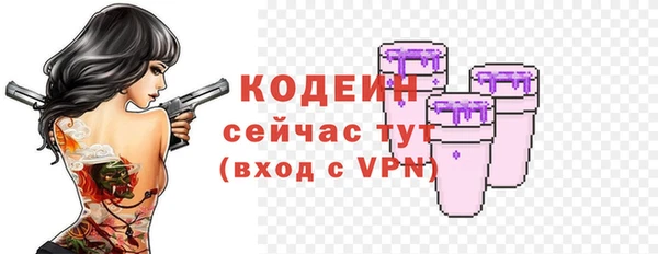 дмт Лагань