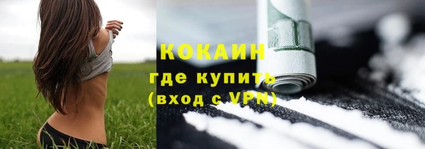 дмт Лагань