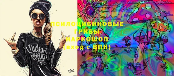 дмт Лагань