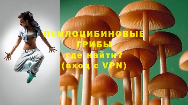дмт Лагань