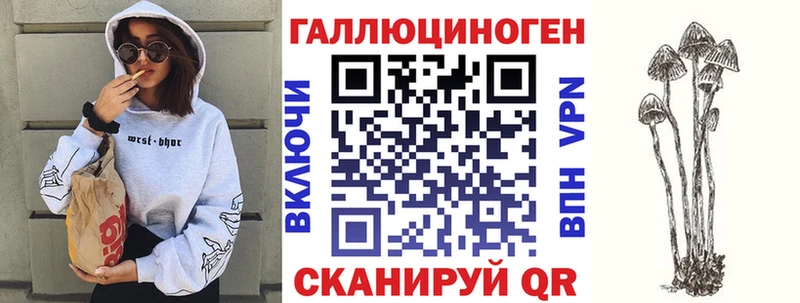 купить закладку  Черняховск  Псилоцибиновые грибы Psilocybine cubensis 
