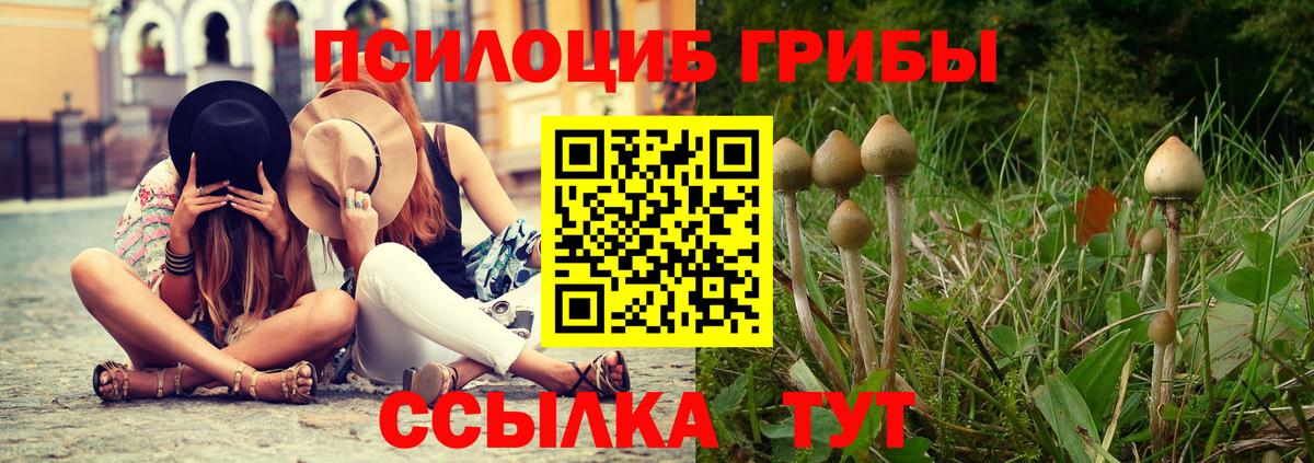 Галлюциногенные грибы мухоморы  цена   Черняховск 