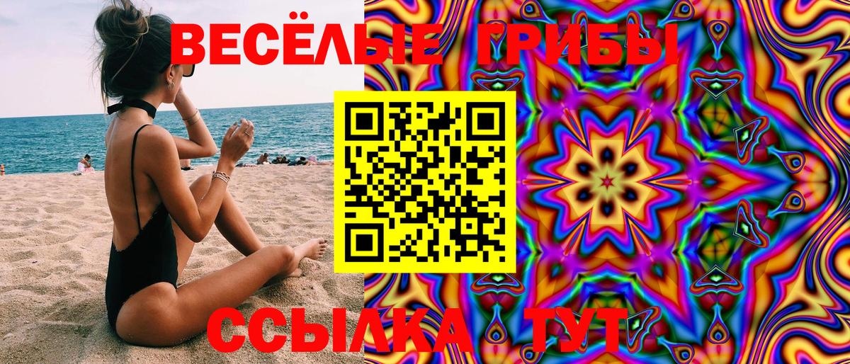 Галлюциногенные грибы Psilocybine cubensis  Вход с VPN  Черняховск  Псилоцибиновые грибы GOLDEN TEACHER 